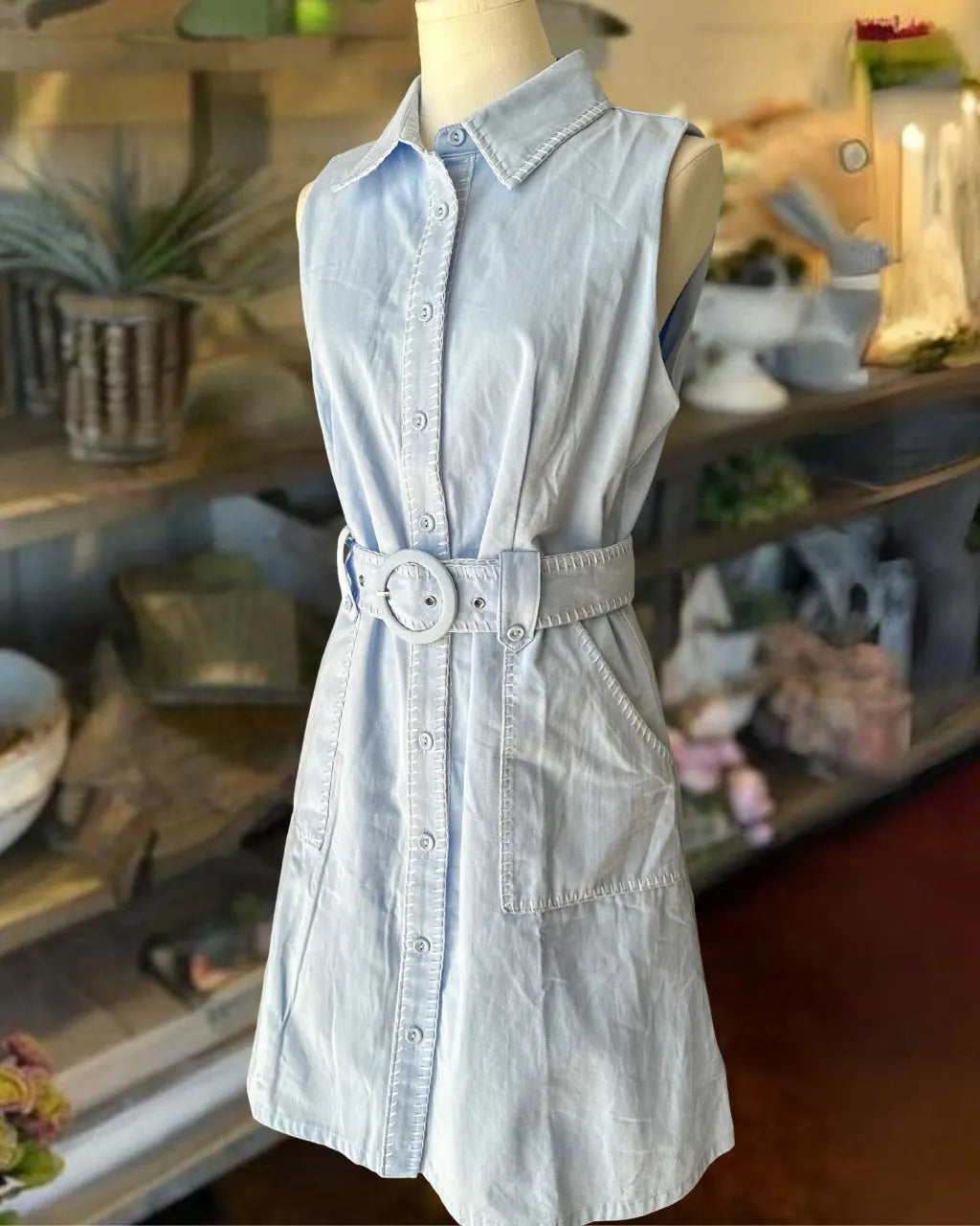 The Blue Bay Belted Collar Dress